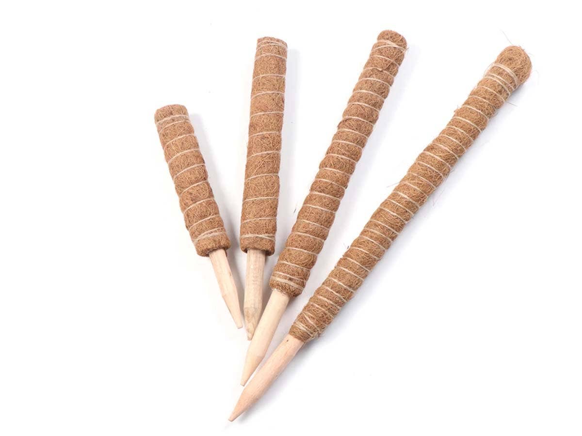 JARDIN Y NATURA OUTDOOR & GARDEN PRODUCTS SL - Vente Outil de jardinage - Tuteur naturel en noix de coco 90 cm - TUTOCOCO 904