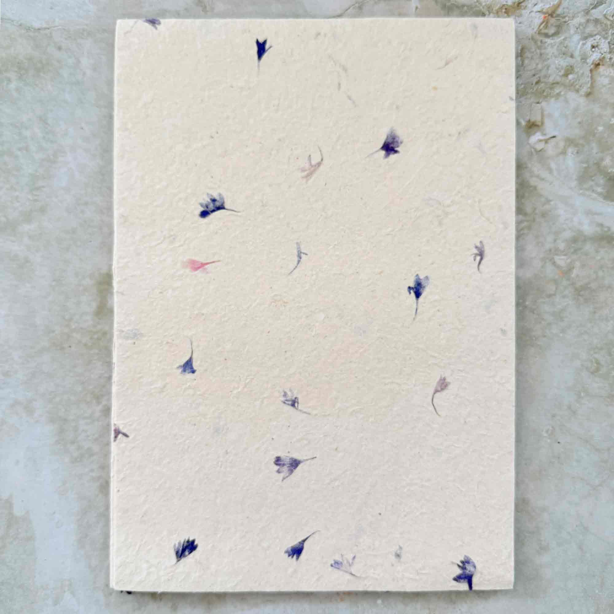 The Natural Paper Company - Vente Assortiments de papeterie/cartes - Papier Lokta fait main au Népal et enveloppes - Bleuet5