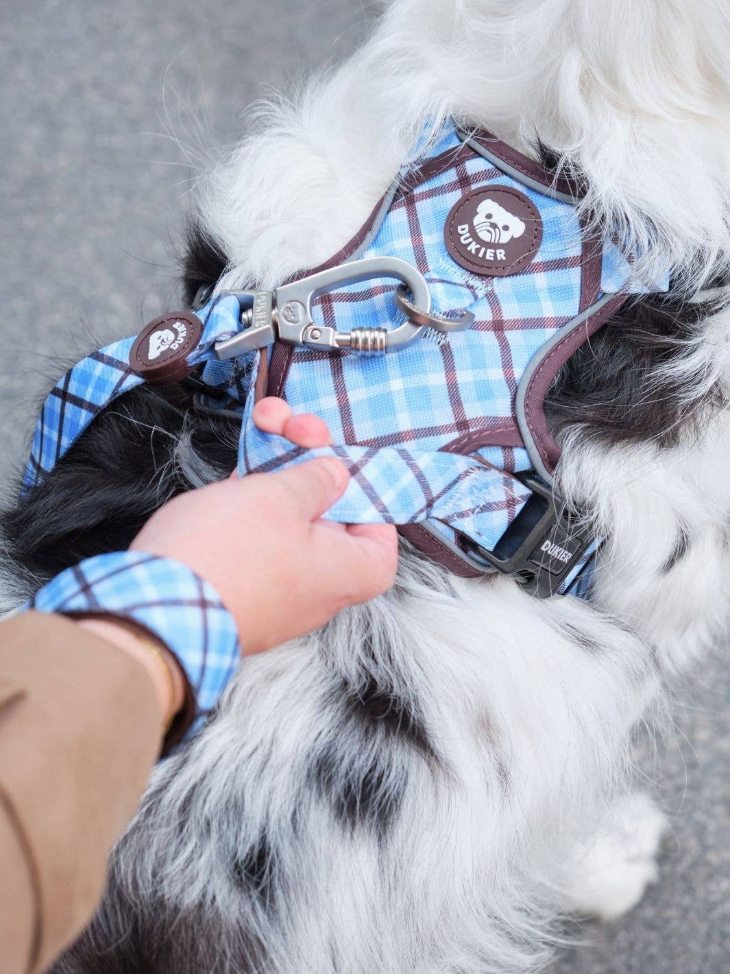 Dukier – Arnês – Cão por atacado – ARNÊS TRAIL PARA CÃO TARTAN BLUE MOCCA5