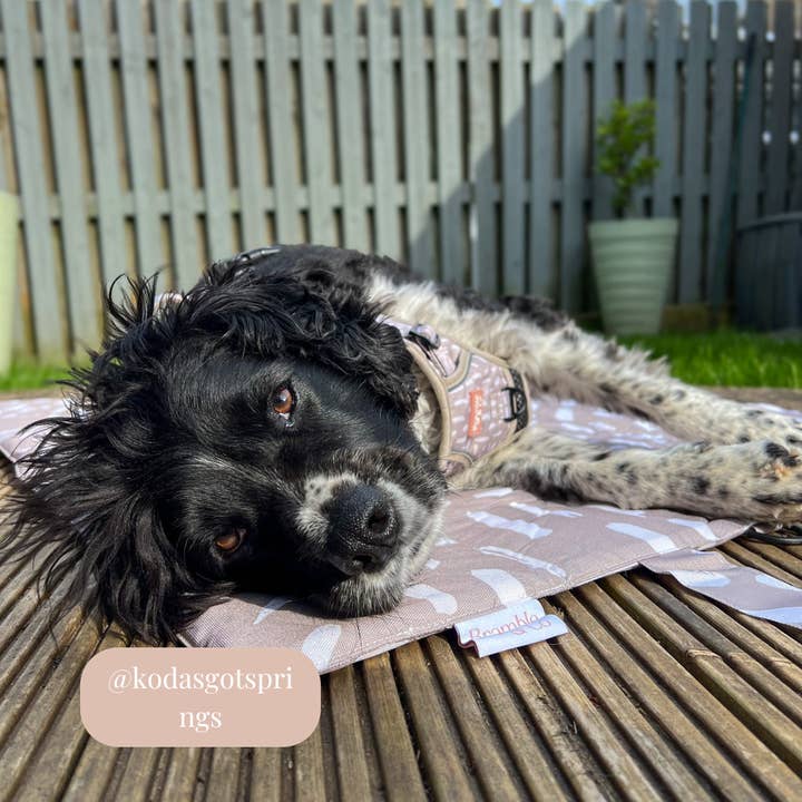 Bramble & Co – wholesale Matta - Hund – Resematta - Känslorna Neutrala