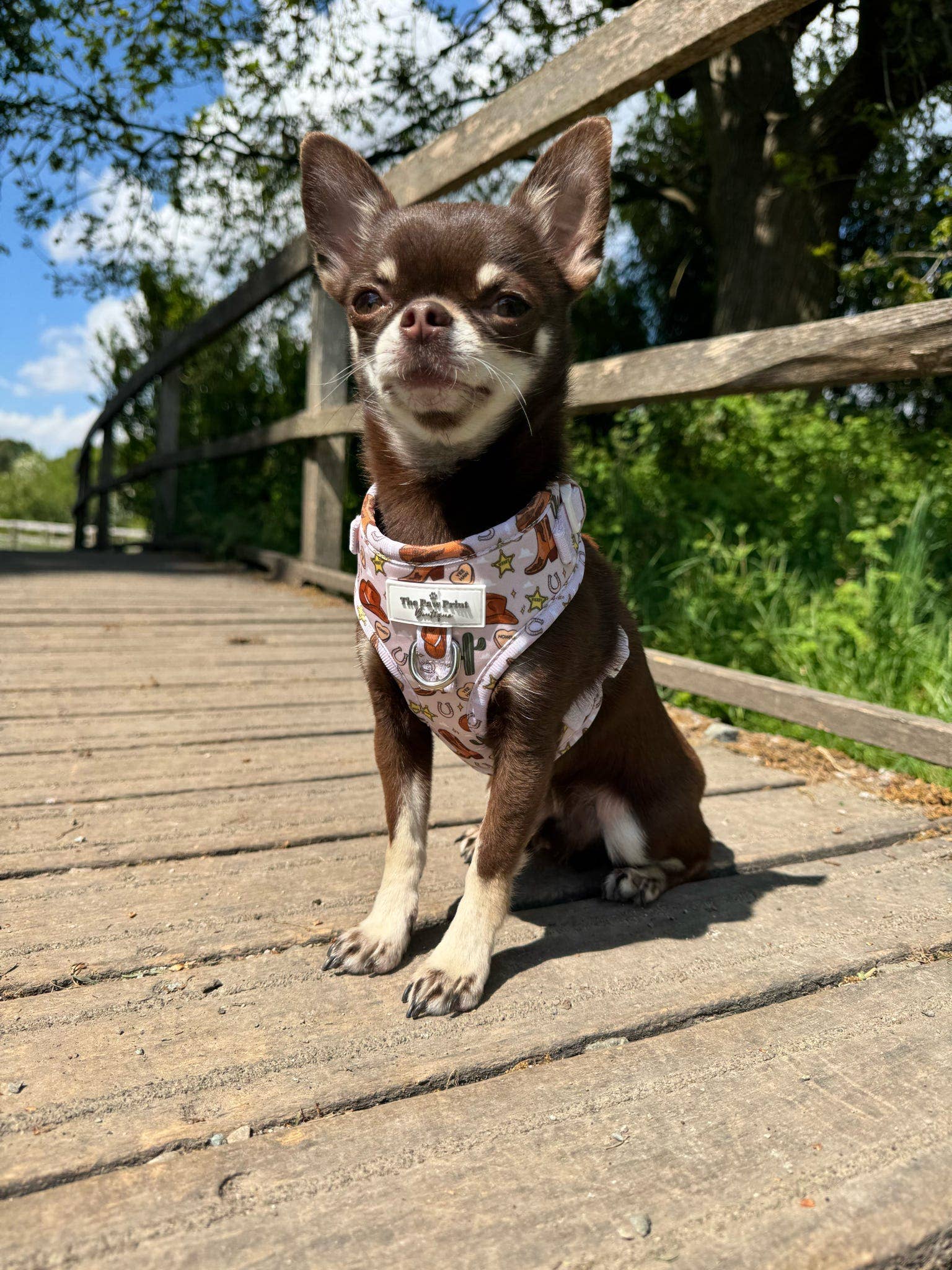 The Paw Print Boutique – wholesale Pet harness – Dog – Howdy Pawtner Adjustable Harness9