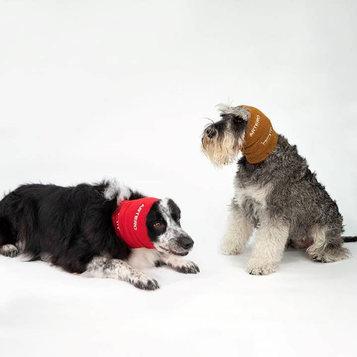 ARTERO Inspiring Style - Wholesale Pet Ear Cleaner - Dog - Artero Focus Drying Ear Set2