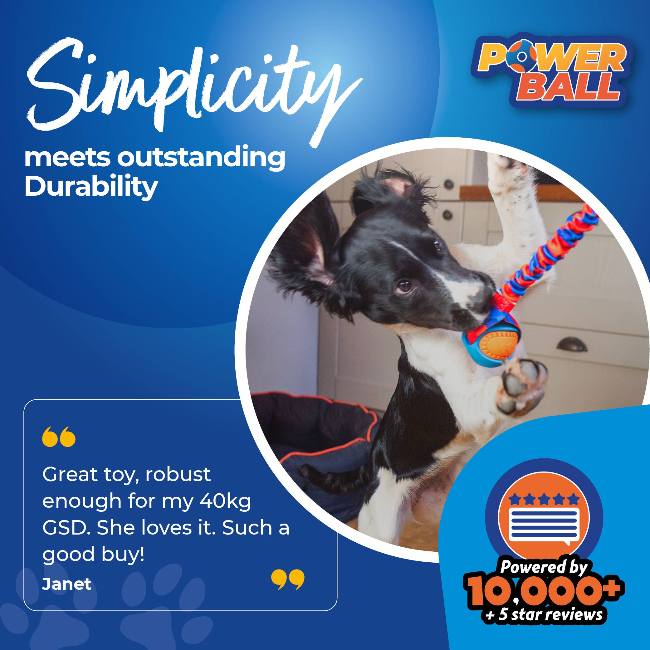 Tug-E-Nuff – wholesale Hundboll - Hund – PowerBall Bungee Dragleksak för Hundar | Tug-E-Nuff3