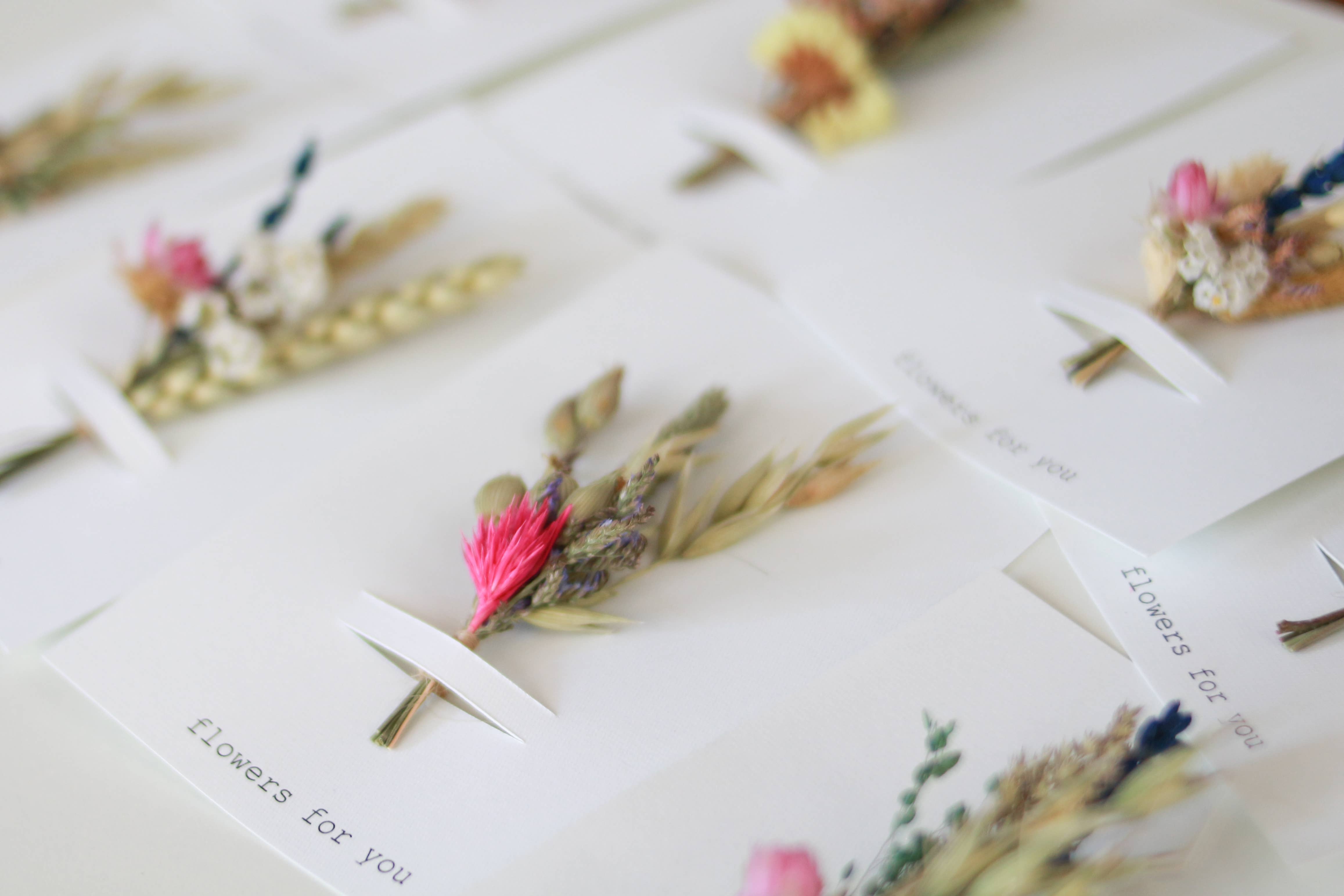 Poca Ceramics - Wholesale Dried/Pressed Flowers - Flowers for you assortment!1