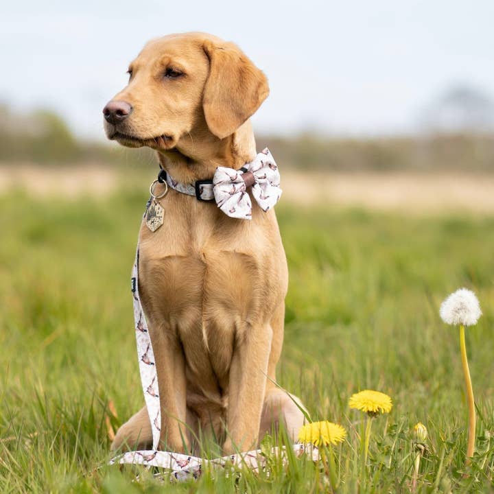 The aDoraBle Pooch Company – wholesale Pet bow tie – Dog – Dog Sailor Bow Tie - Farmland Pheasant12