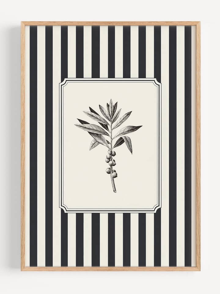 Sort & Hvid Stribet Botanisk Vægkunst Print | Vintage Blomst Illustration I183-3 for engroshandel hos Peardrop Prints