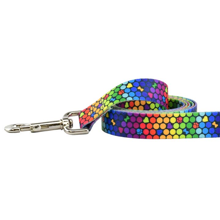 Coleira de cachorro EarthStyle ROY G BIV por atacado de 2 Hounds Design