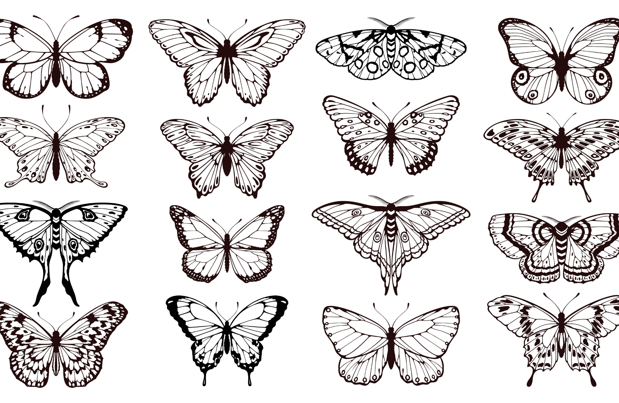 TAYLOR GRAY - Wholesale Decorative Tray - 11x17 BLACK & WHITE insert set of 104