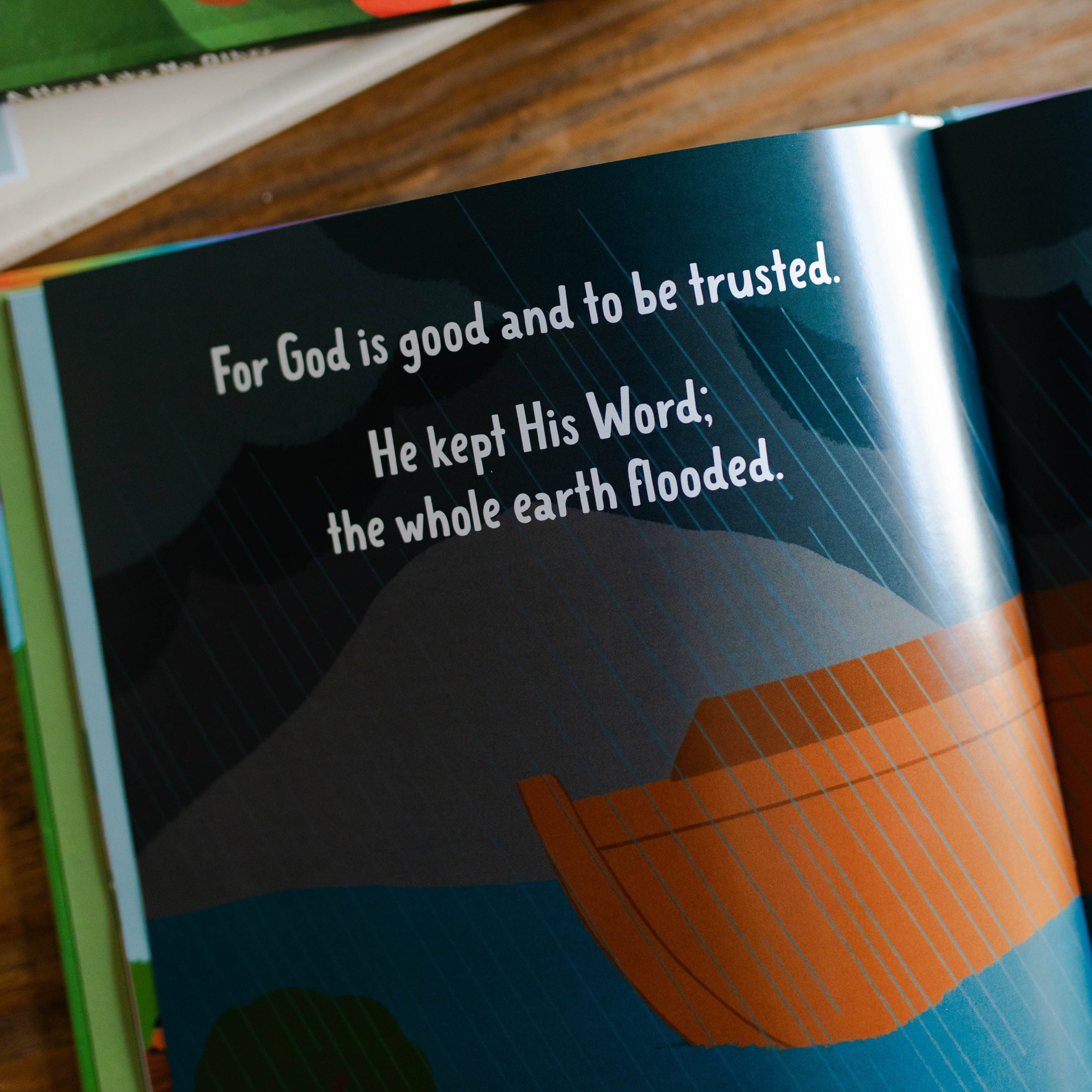 The Daily Grace Co - Wholesale Preschool Book (3-5) - Faithful in the Flood | Children's Book3