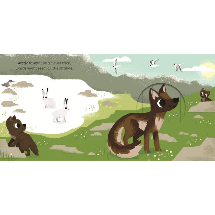 EDC Publishing - Wholesale Preschool Book (3-5) - Animal Magic: In the Snow1