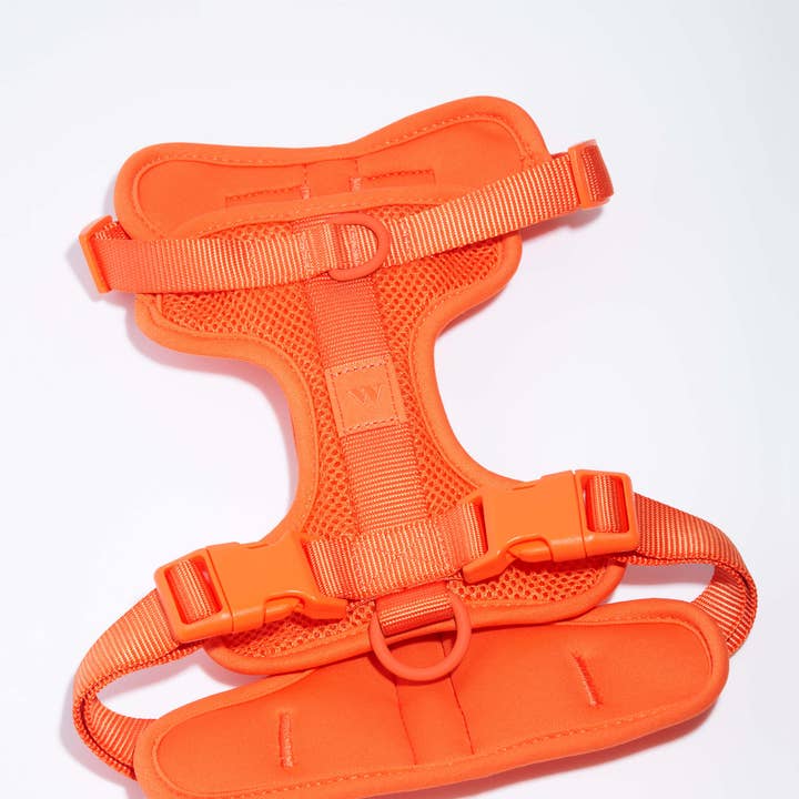 Wild One - Wholesale Pet Harness - Dog - Harness1