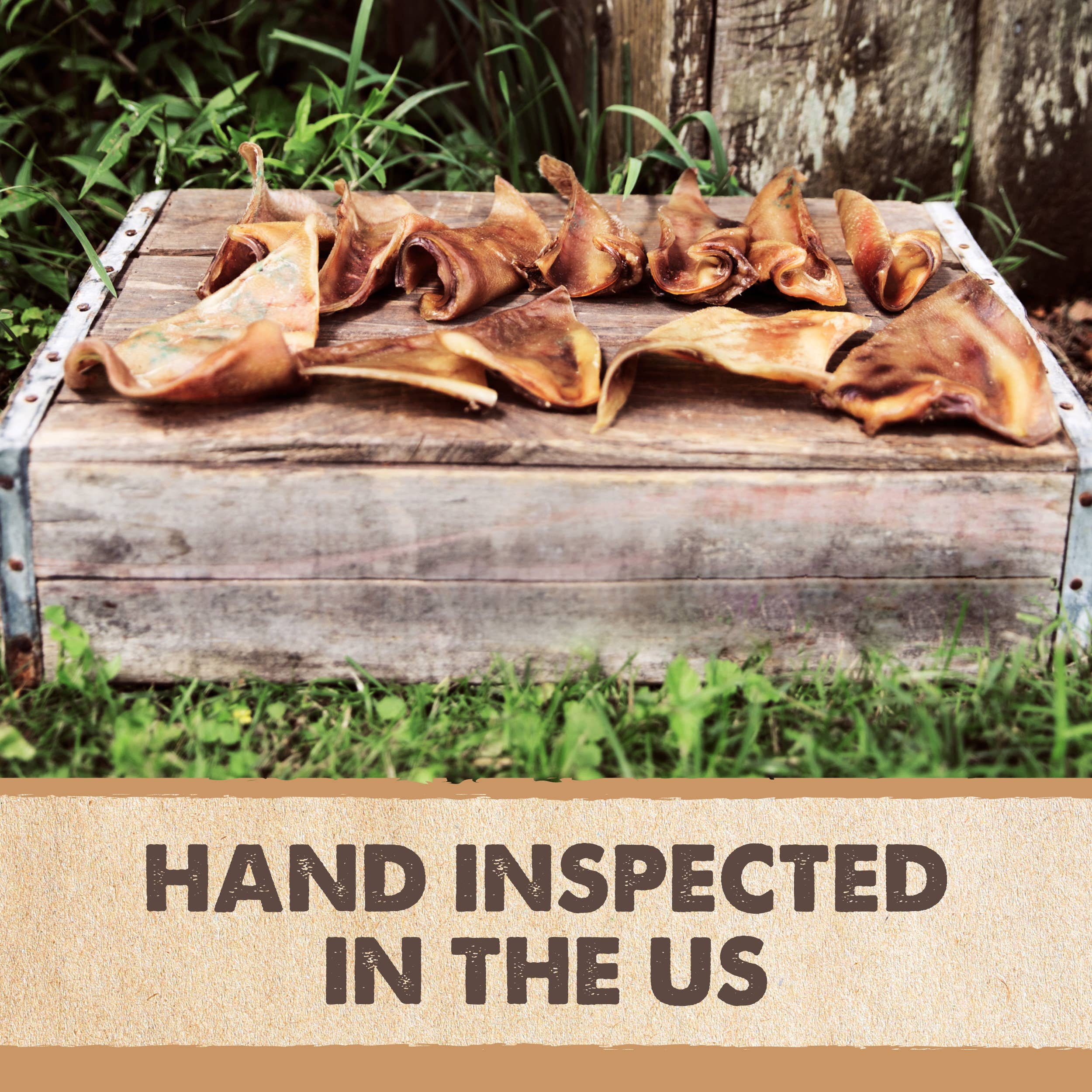 Mighty Paw - Wholesale Pet Treats - Dog - Naturals Half Pig Ears (Bulk Pack)4