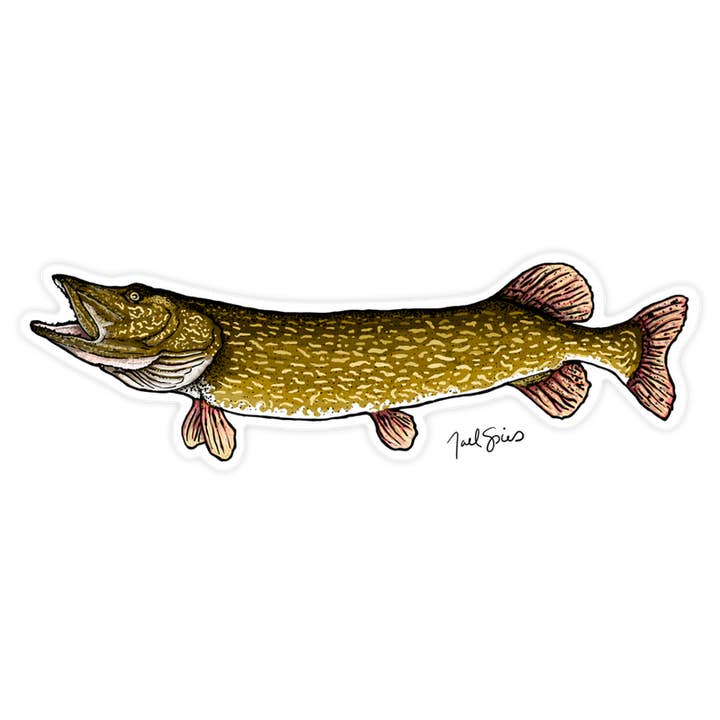 Large Pike Fish Sticker Decal for wholesale by BruleBay