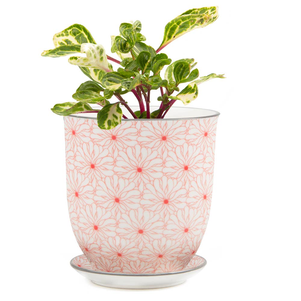 Chive UK – Großhandel Blumentopf – Liberte 3 - Keramik-Blumentopf mit Untersetzer und Abflussloch23