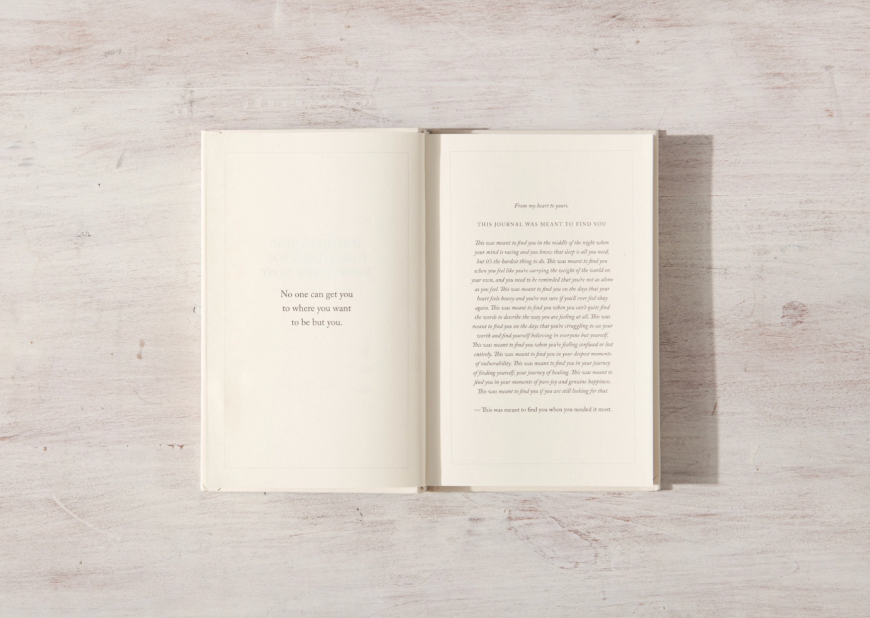 Thought Catalog - Wholesale Journal/Diary - Write In These Pages Journal2