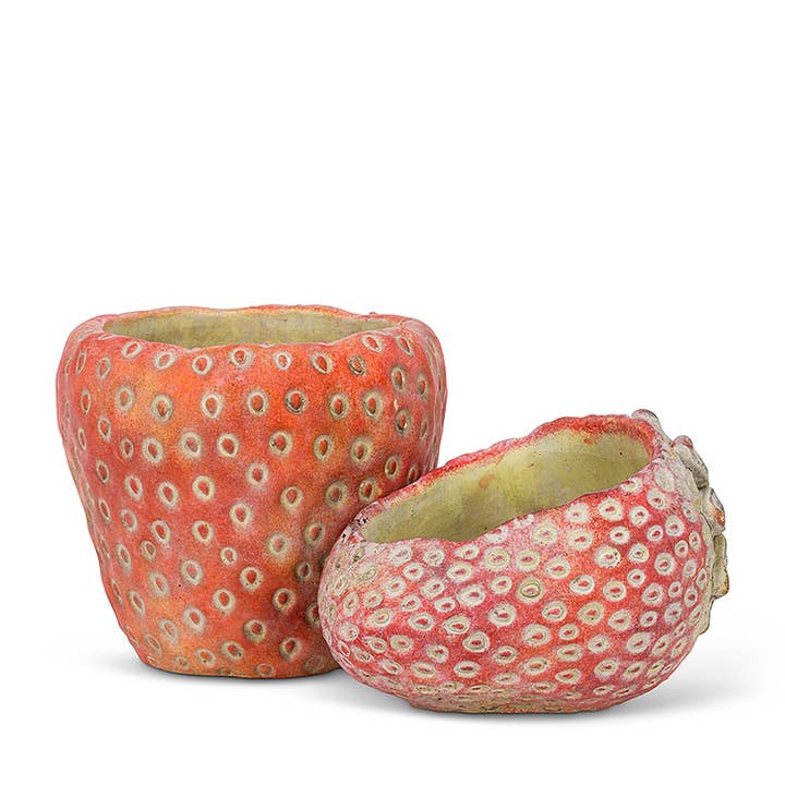 Abbott - Wholesale Plant Pot - Small Strawberry Planter-5"D2