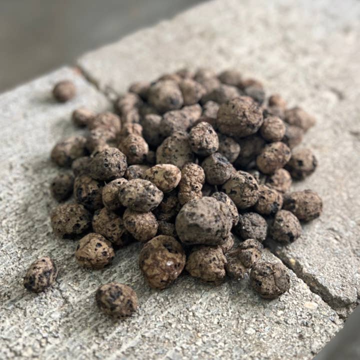 LeafLabs Geolite for wholesale by GreenLens