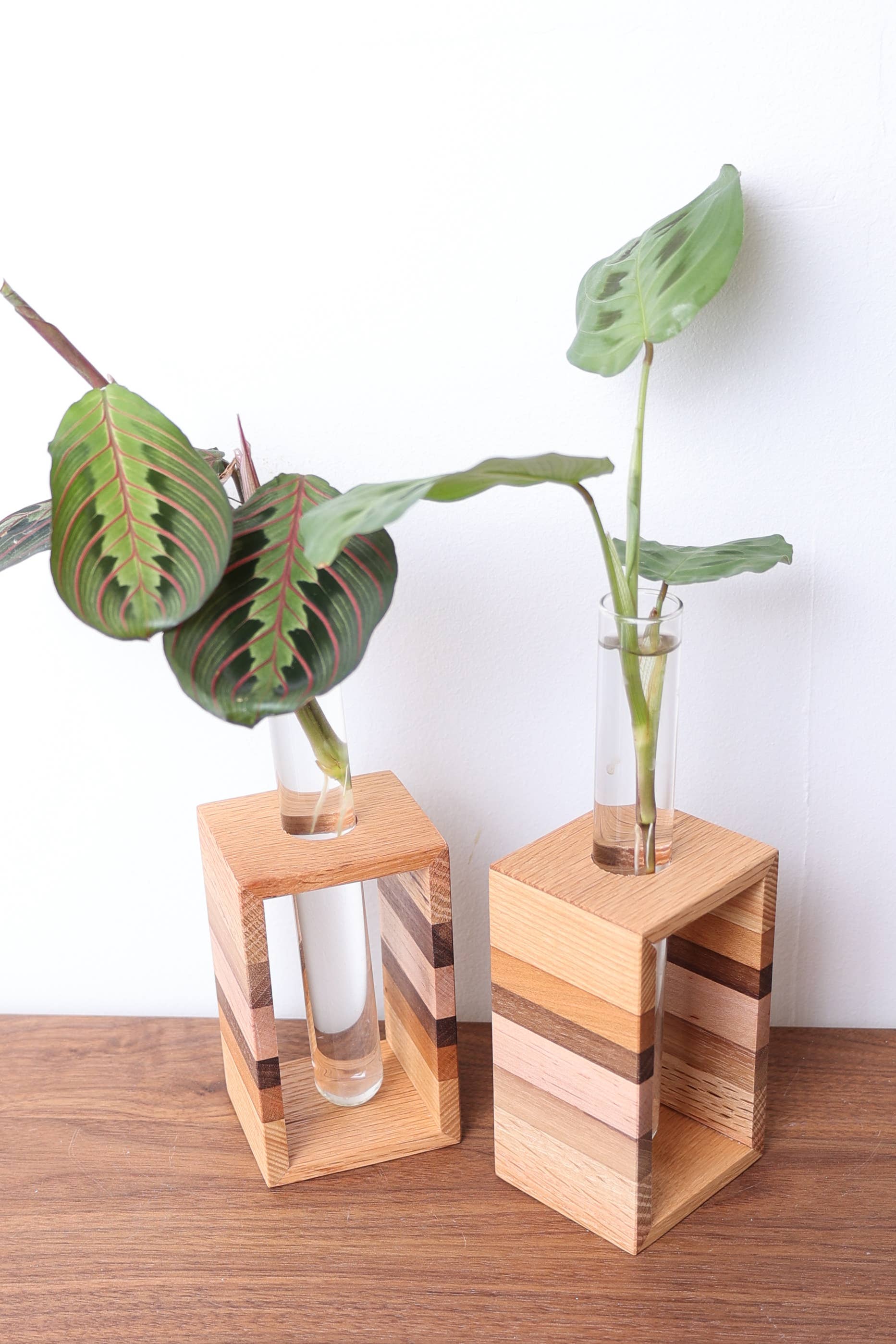 Sawdust and Clay - Wholesale Plant Pot Stand - Propagation Stands1