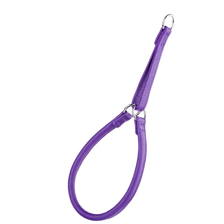 Dogline - Wholesale Pet Collar - Dog - Soft Leather Round Martingale Collar for Dogs21