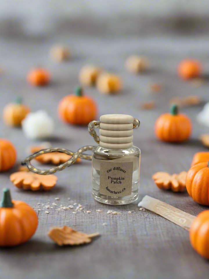 Difusor de coche de calabaza para venta al por mayor de LunarLuxeCA