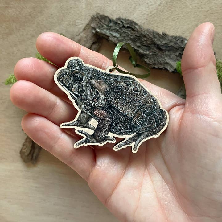 Rachael Bee Artwork - Wholesale Ornament - American Toad Ornament2