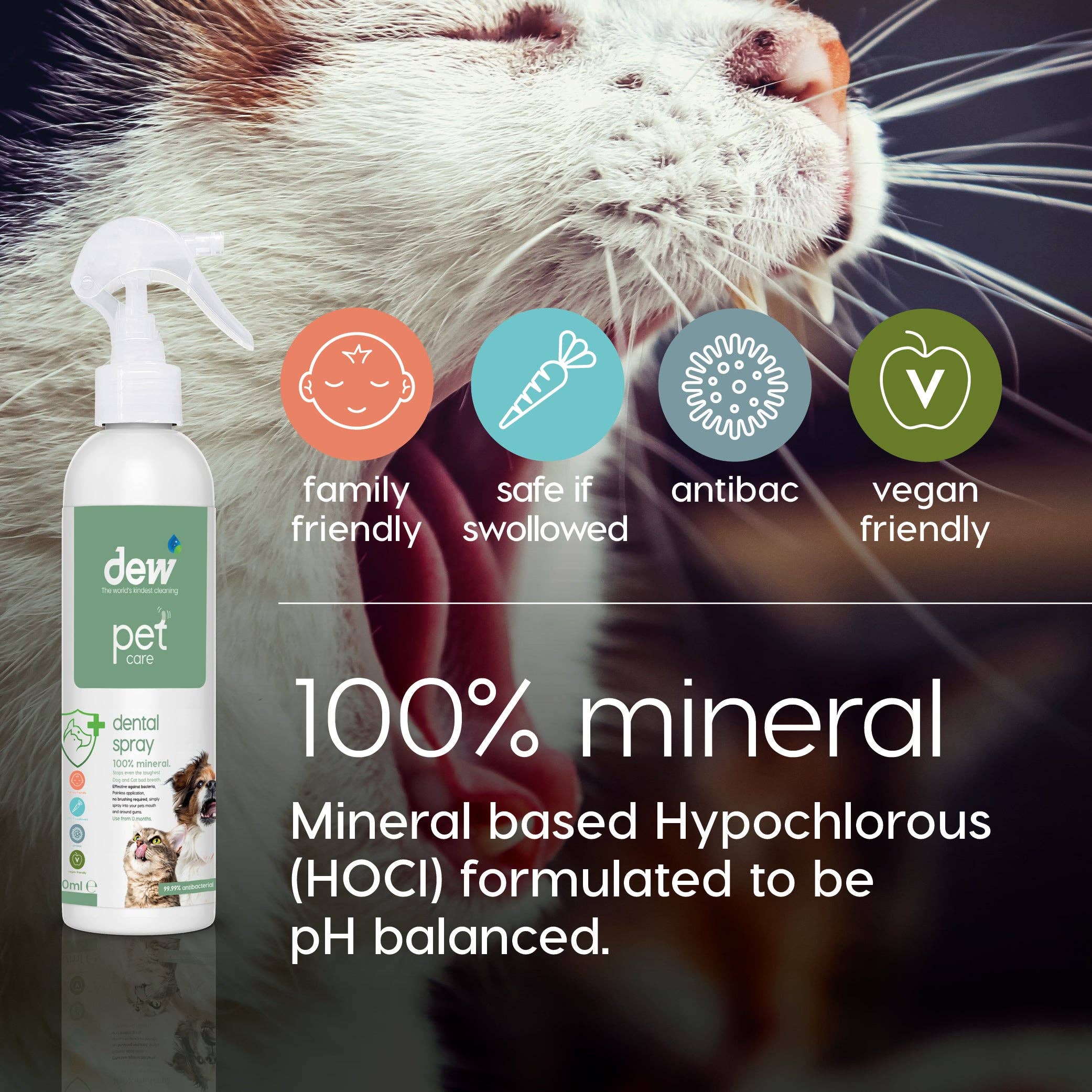 Dew – wholesale Pet spray – Dog – Pet Dental Spray 250ml5