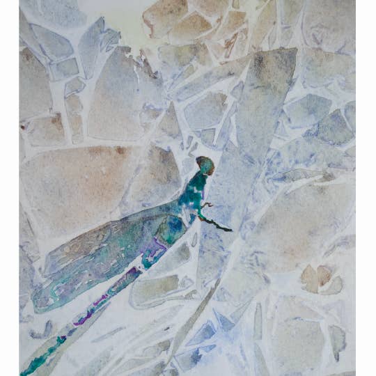 Carte de vœux abstraite en forme de libellule, intérieur vierge #KC5C pour la vente par Kellie Chasse Fine Art