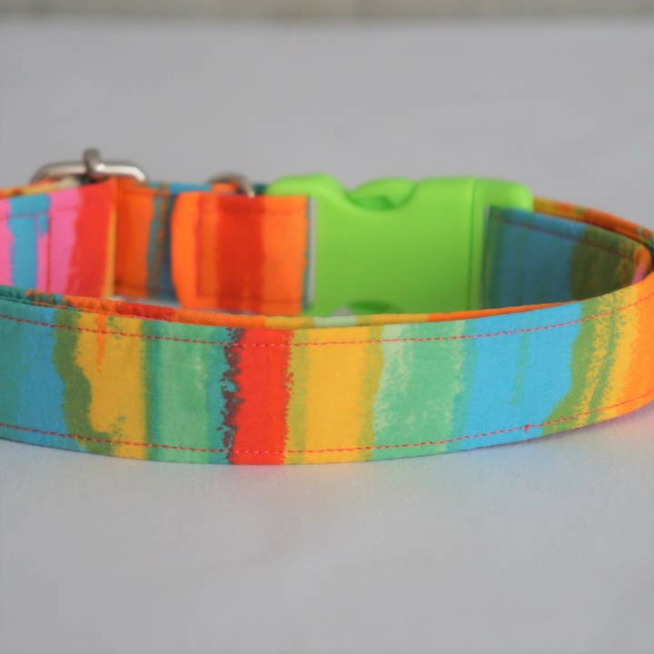 kiwi & WILLOW – wholesale Halsband - Hund – Neon Sommar Hundhalsband5