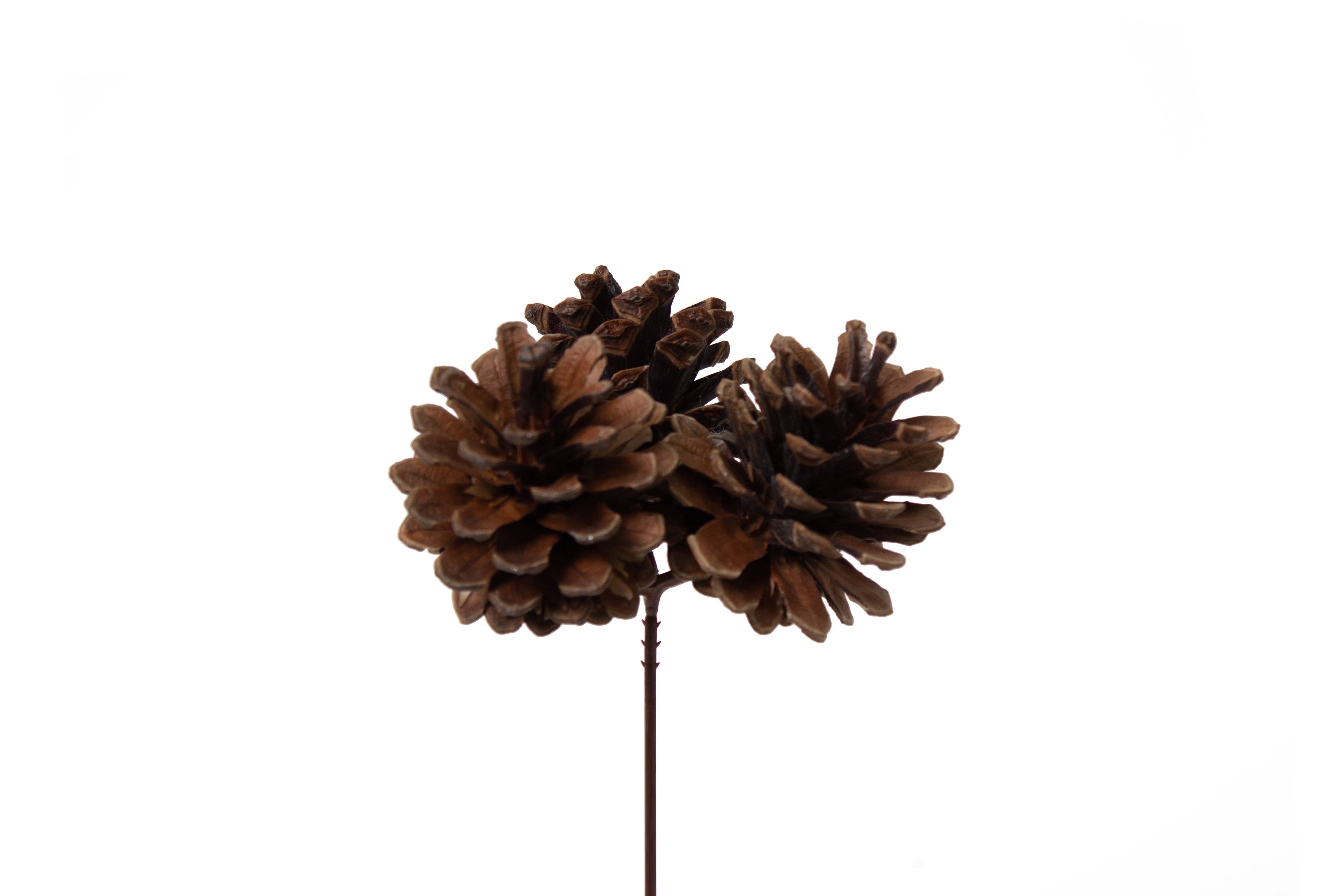Jacobson - Wholesale Christmas Decoration - 8" OAL Pinecone on Barbed Pick1