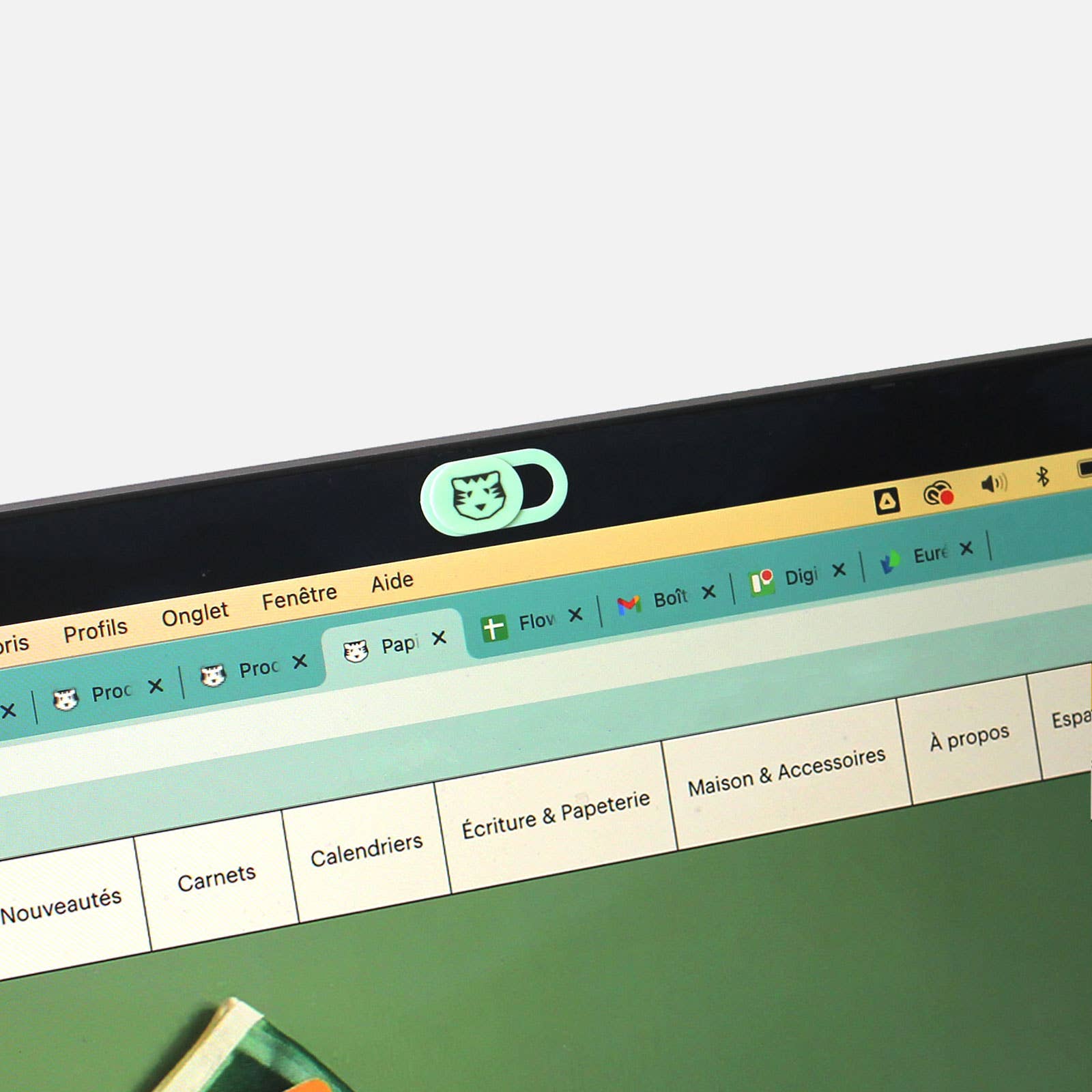 Papier Tigre - Wholesale Laptop Privacy Screen - Set of 3 webcam1