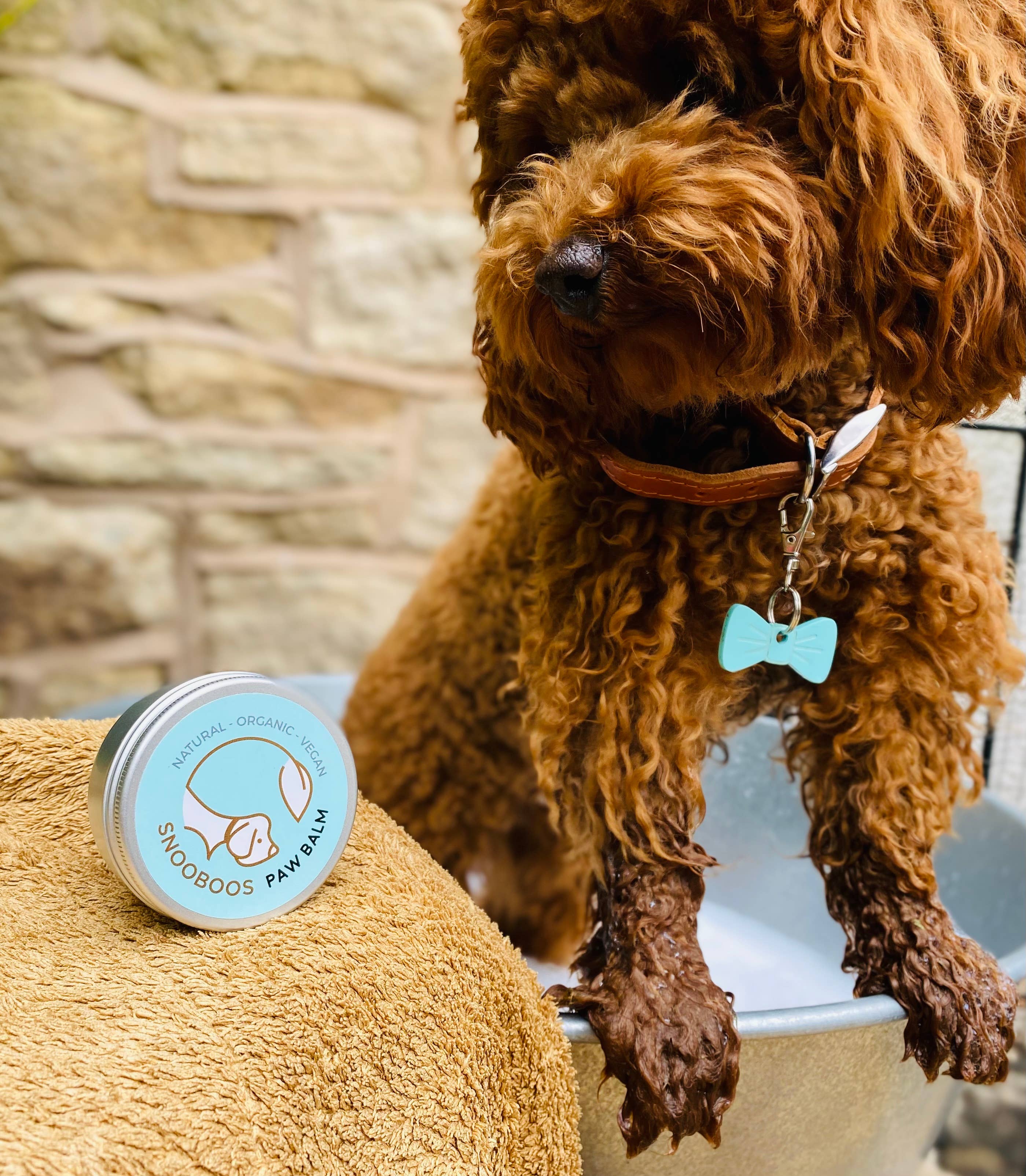 Snooboos Ltd - Wholesale Pet Balm - Dog - Healing Balm4