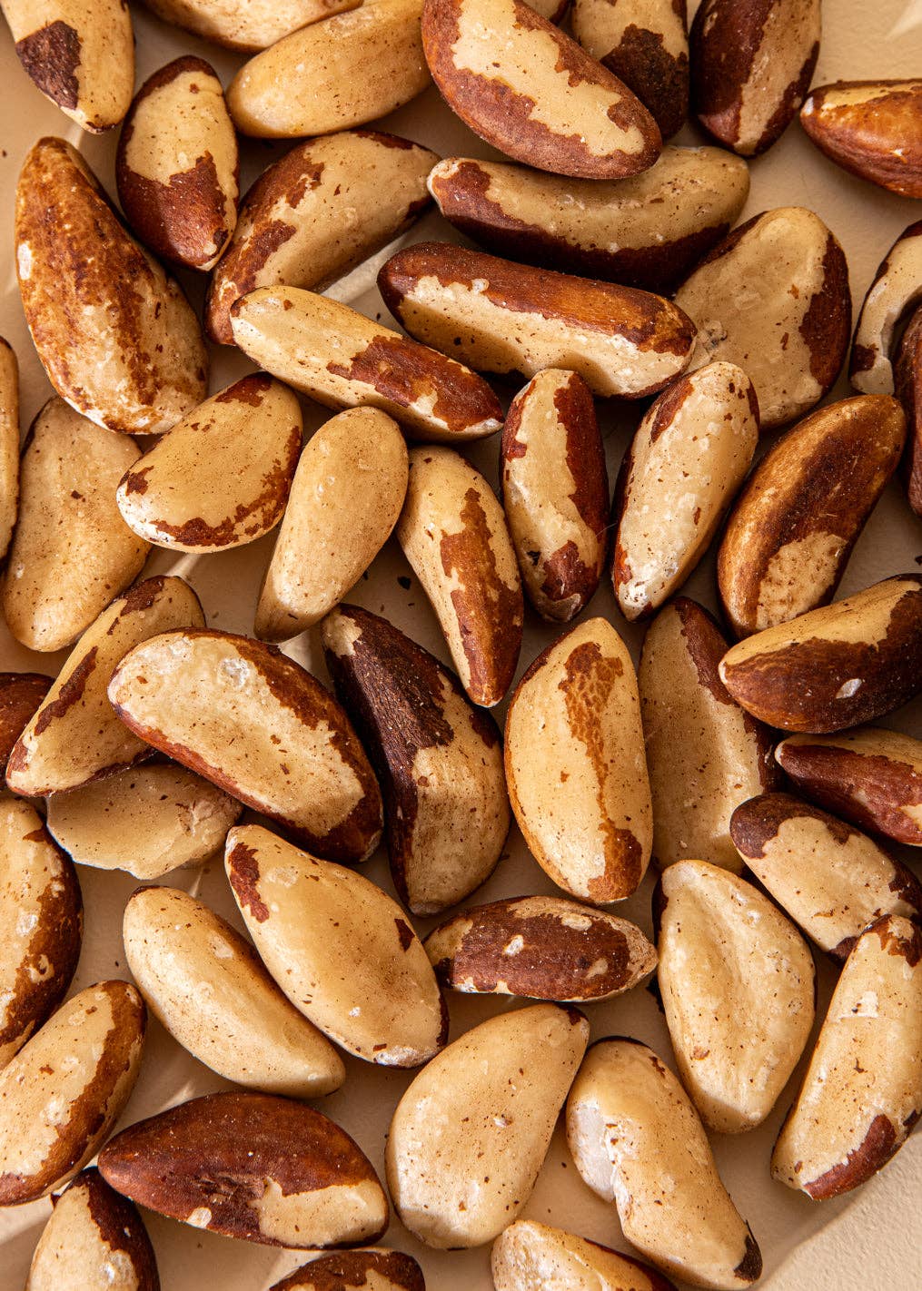 AZADA - Wholesale Nuts - Nueces de Brasil (Coquito)5