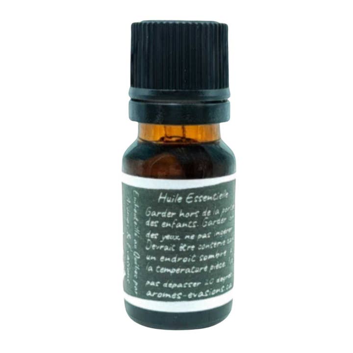 Arômes & Évasions - Wholesale Essential Oil - Essential Oil -Hibiscus (Hibiscus Rosa-Sinensis L.)
