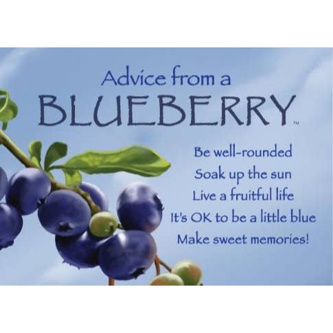Advice from a Blueberry Jumbo Magnet for wholesale by Advice for Life by Your True Nature