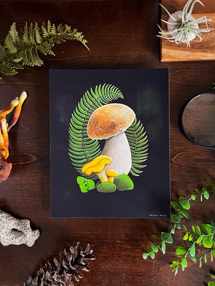 Bolete and Ferns Art Print, King Bolete, Mushroom Art for wholesale by Sword Fern Studios