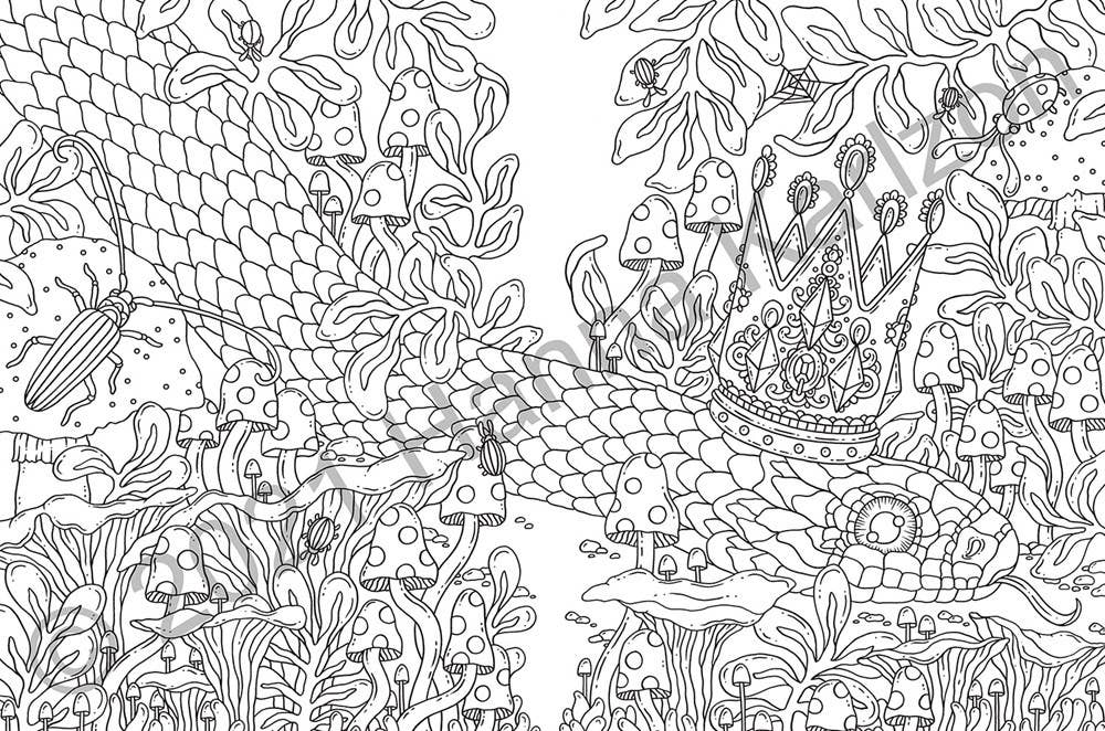 Gibbs Smith - Wholesale Coloring & Activity Book - Adult - Tales from the Forest Kingdom Coloring Book2