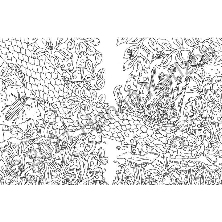 Gibbs Smith - Wholesale Coloring & Activity Book - Adult - Tales from the Forest Kingdom Coloring Book2