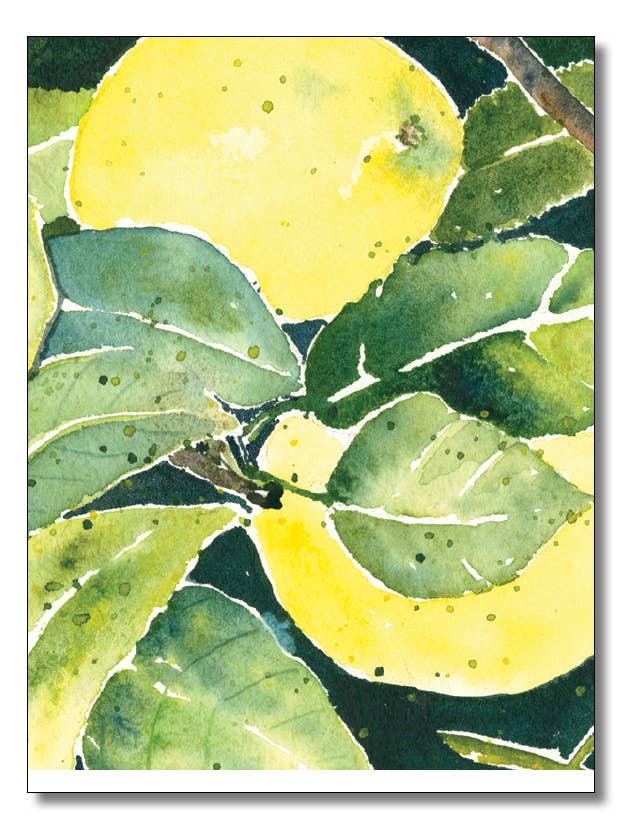 Lemon Tree Pocket Notebooks for wholesale by WORDS & WATERCOLORS BY PEG CONLEY