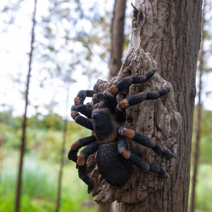 Black Polyresin Tarantula Decorative Figurine for wholesale by Hi-Line Gift Ltd.