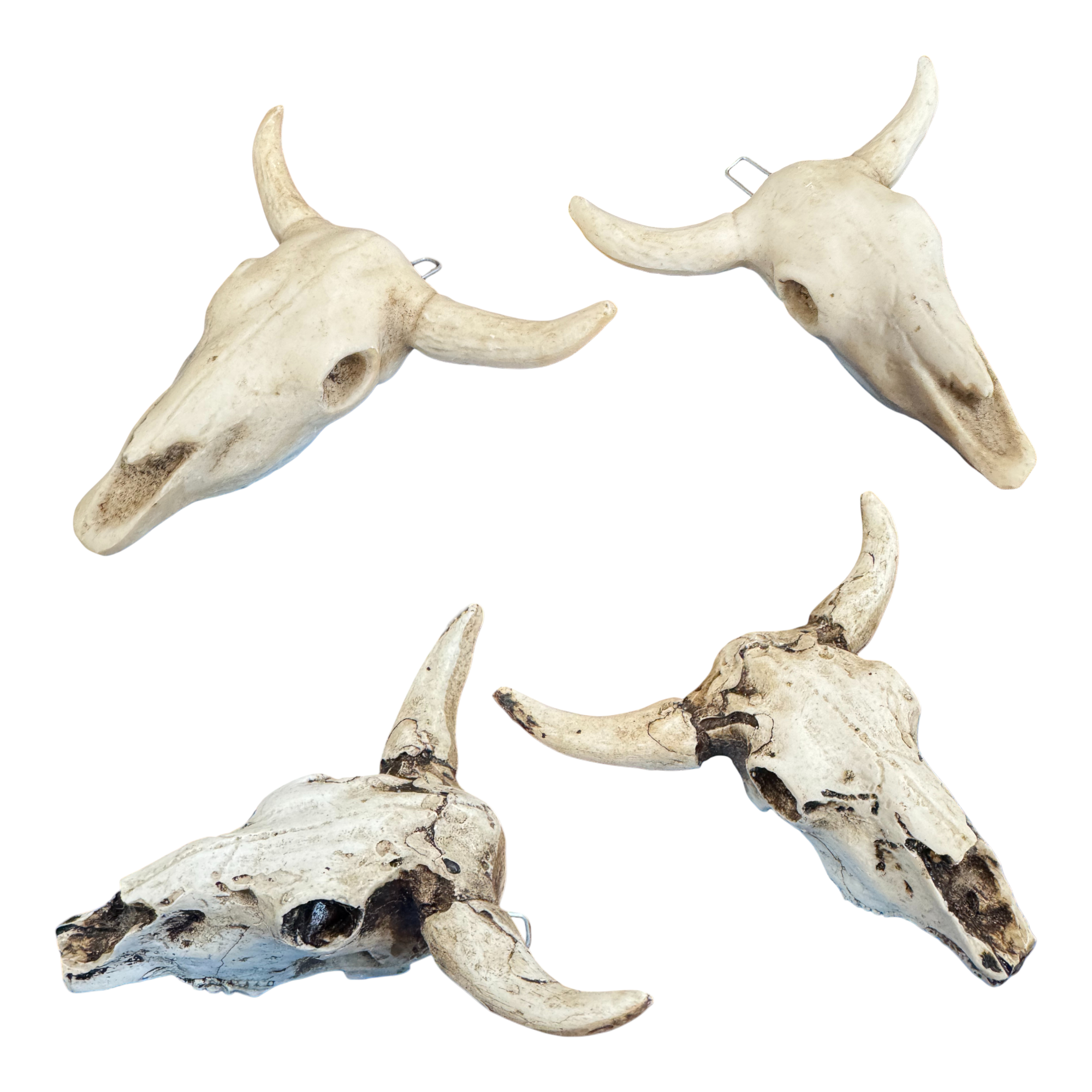 Wilco Home - Vente Objets de décoration - Ornement/Charme Crâne de Taureau en Résine4