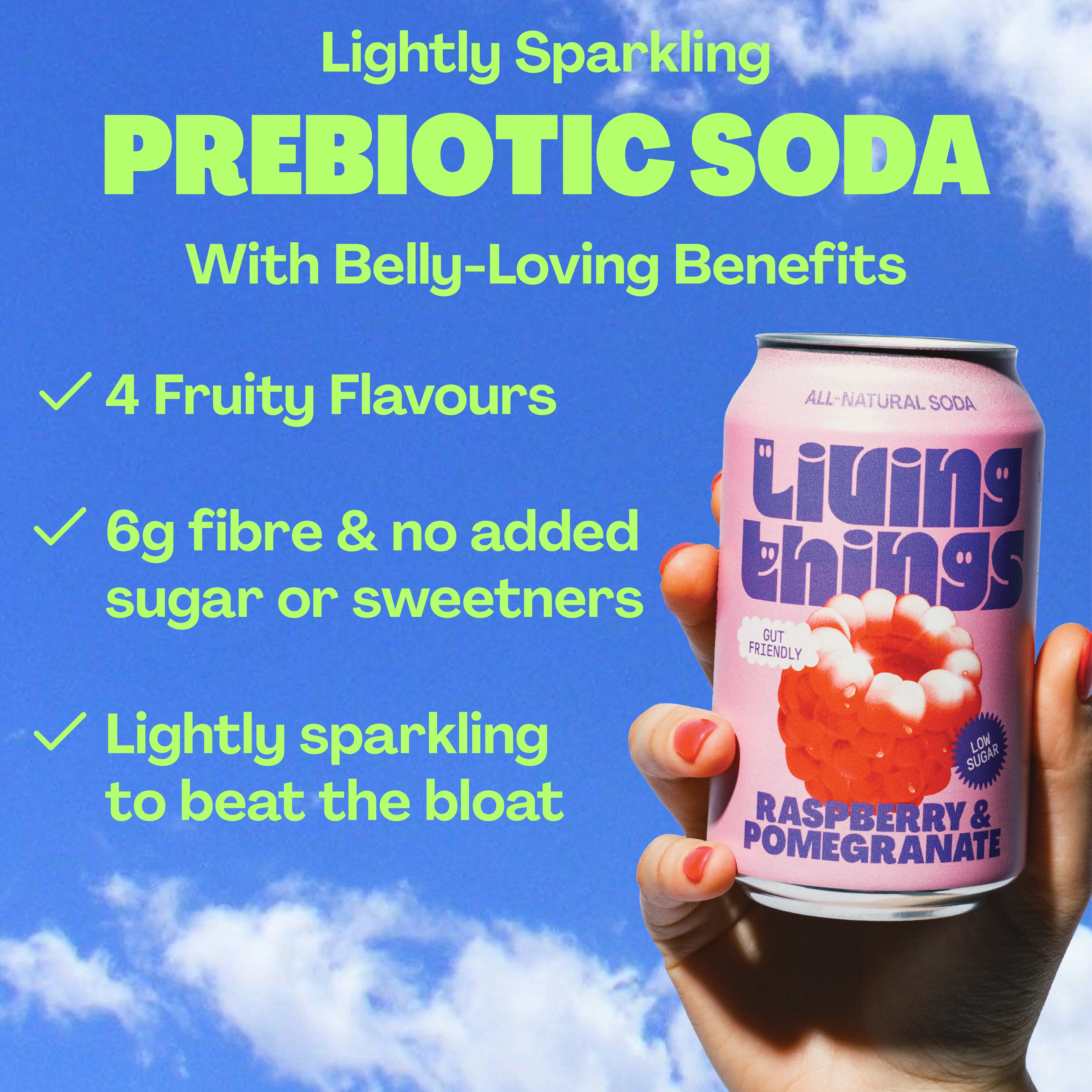 Living Things - Wholesale Soda/Carbonated Drink - Raspberry & Pomegranate Prebiotic Soda - Living Things 3
