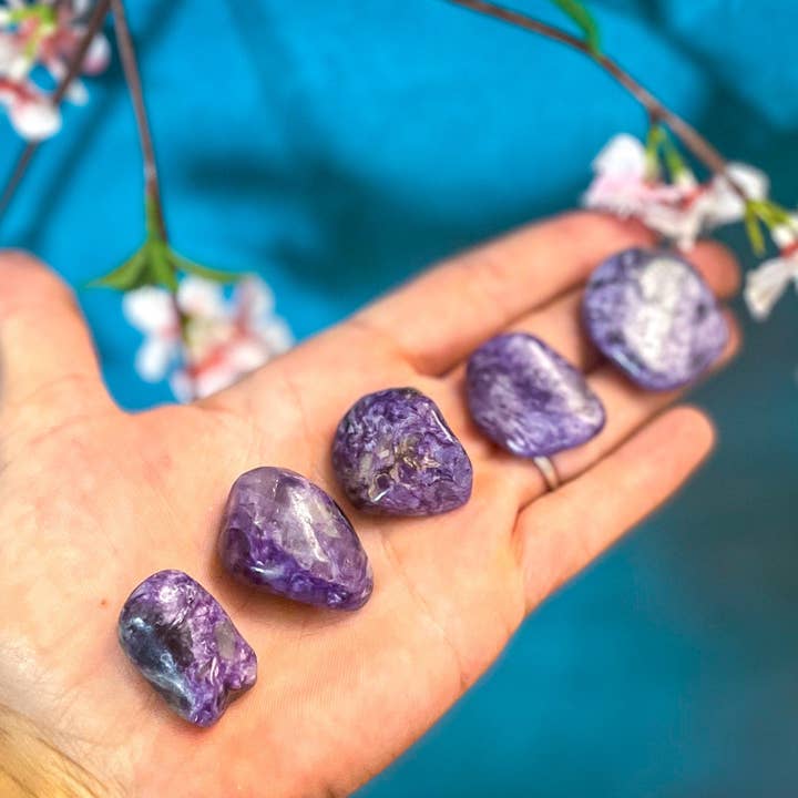 Mandala Gems - Vendita all'ingrosso Pietra/cristallo spirituale - Charoite lucido1