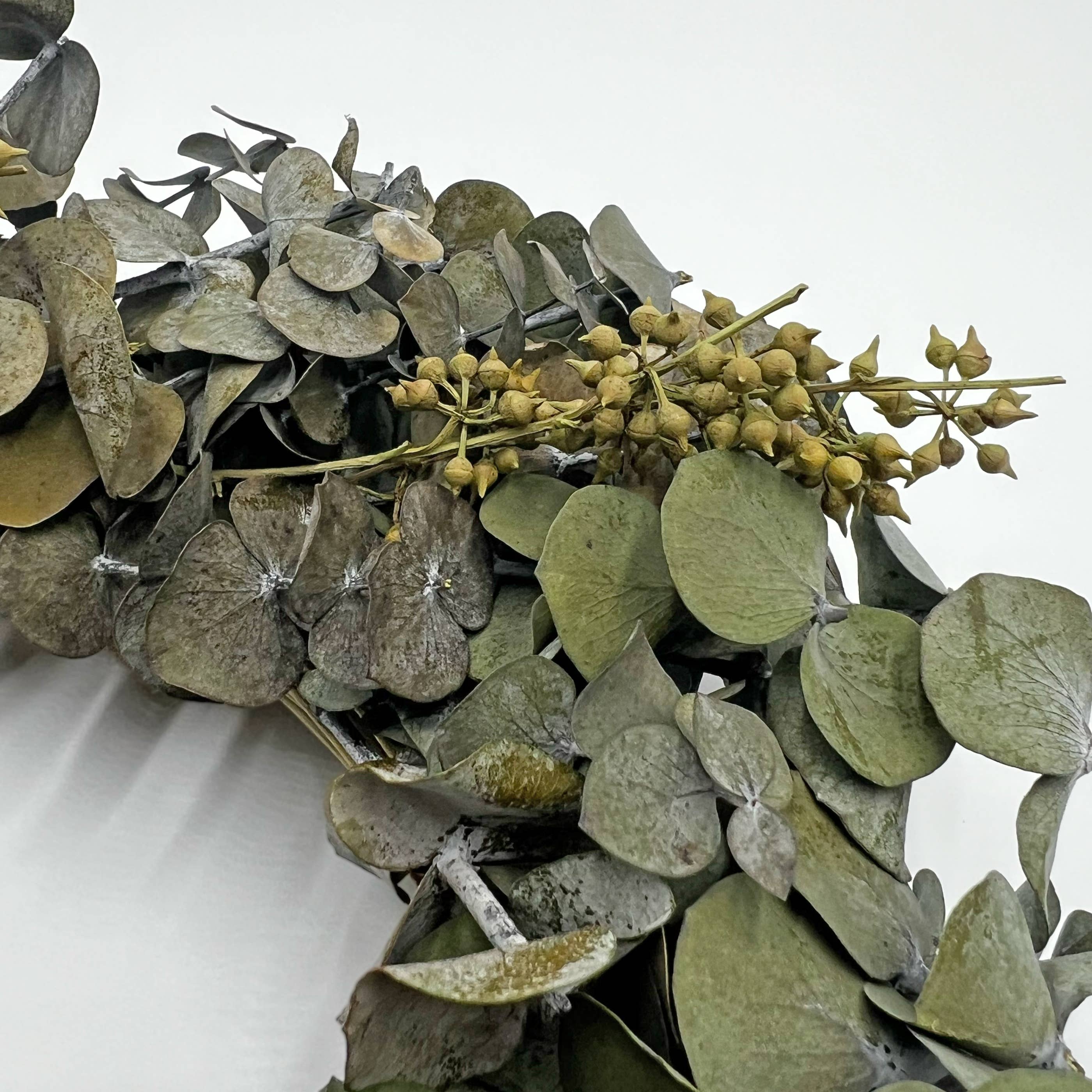 2626 Designs - Wholesale Wreath - Real Dried Preserved Decorative Eucalyptus Wreaths1