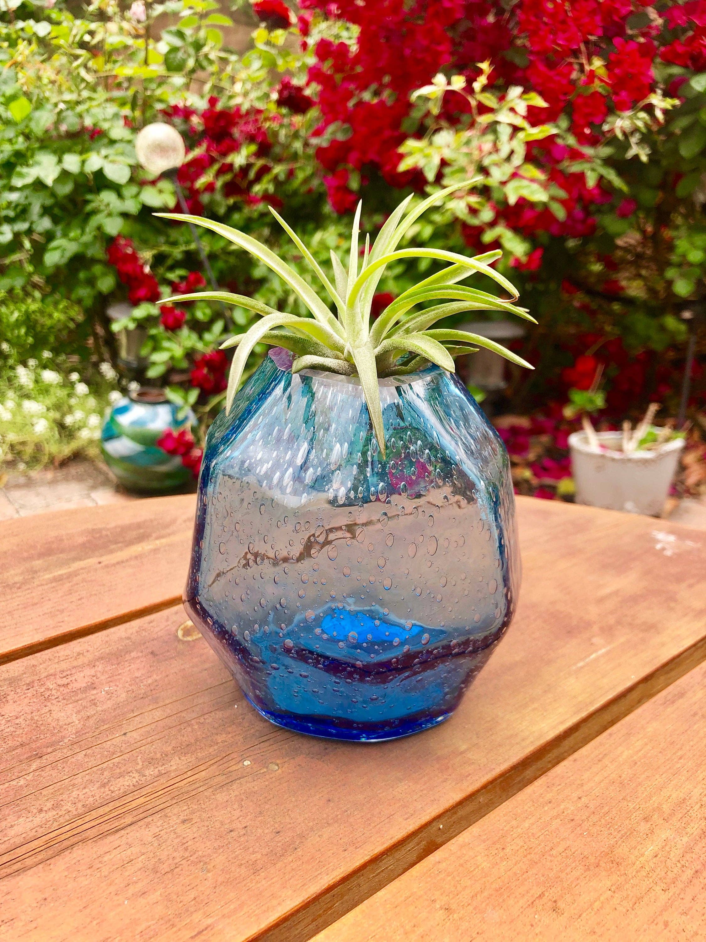 ApricotMint - Wholesale Plant Pot - Gem Hand Blown Art Glass Collection Air Plant Holder2