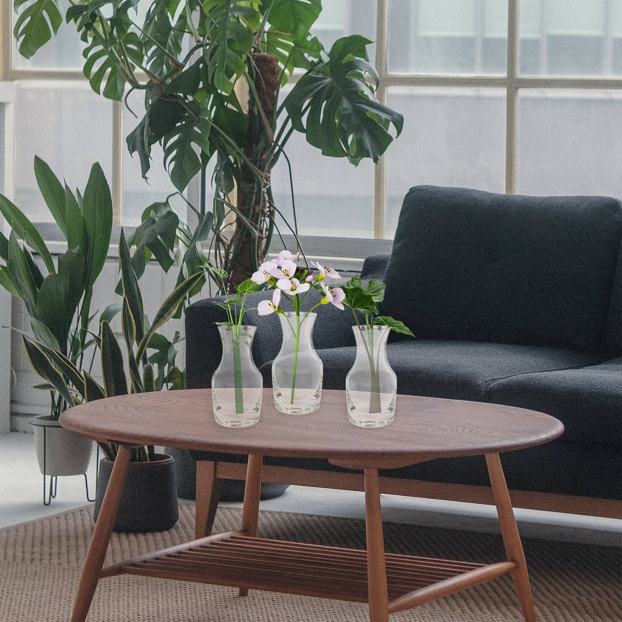 Kurated Korner - Wholesale Carafe - Cornucopia 6.5oz Individual Wine Carafes (6pk)2