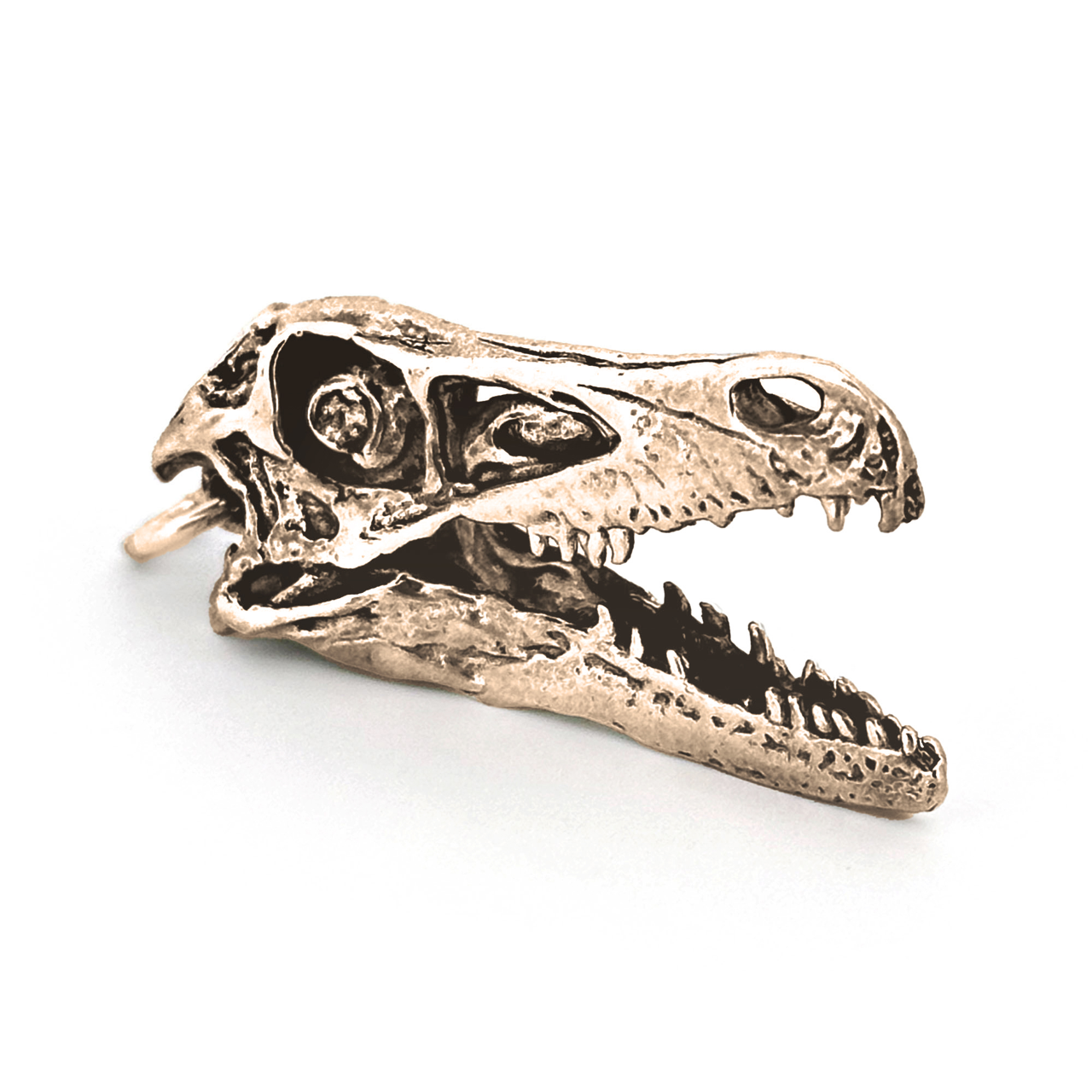 Fire & Bone - Wholesale Pendant/Charm Necklace - Velociraptor1