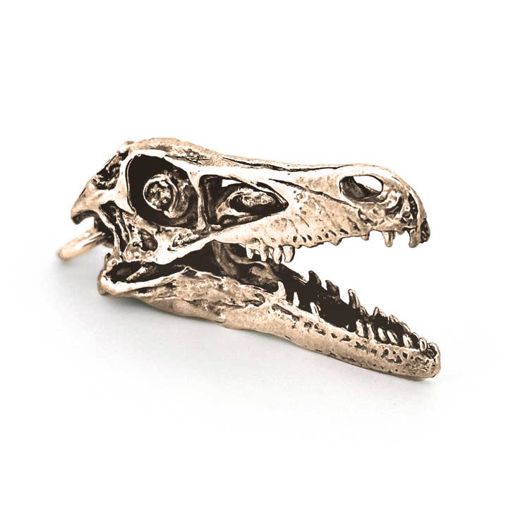 Fire & Bone - Wholesale Pendant/Charm Necklace - Velociraptor1
