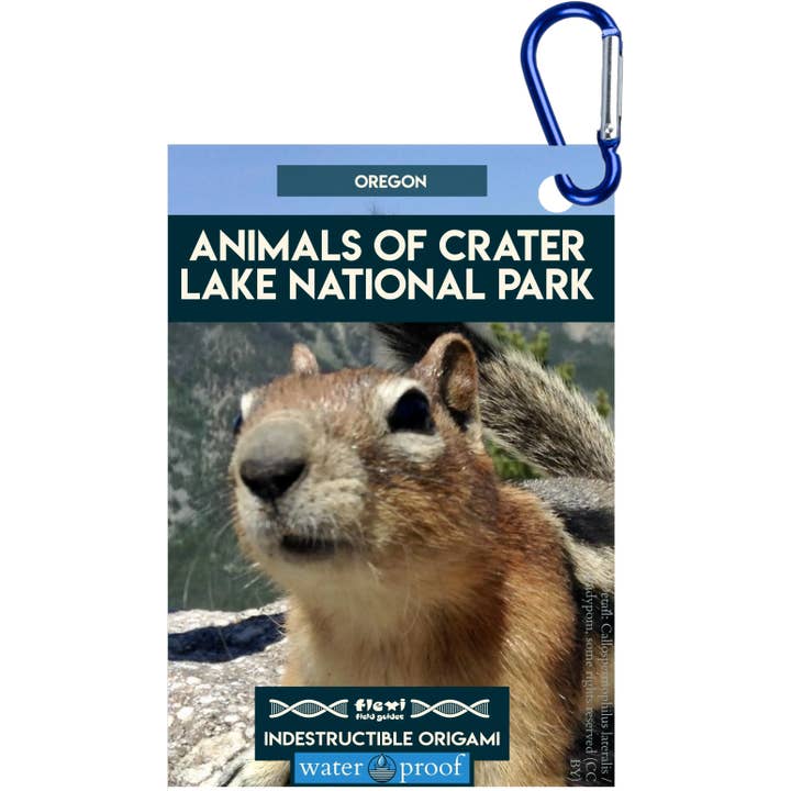 Animals of Crater Lake NP-Indestructible Origami for wholesale by Flexi Field Guides