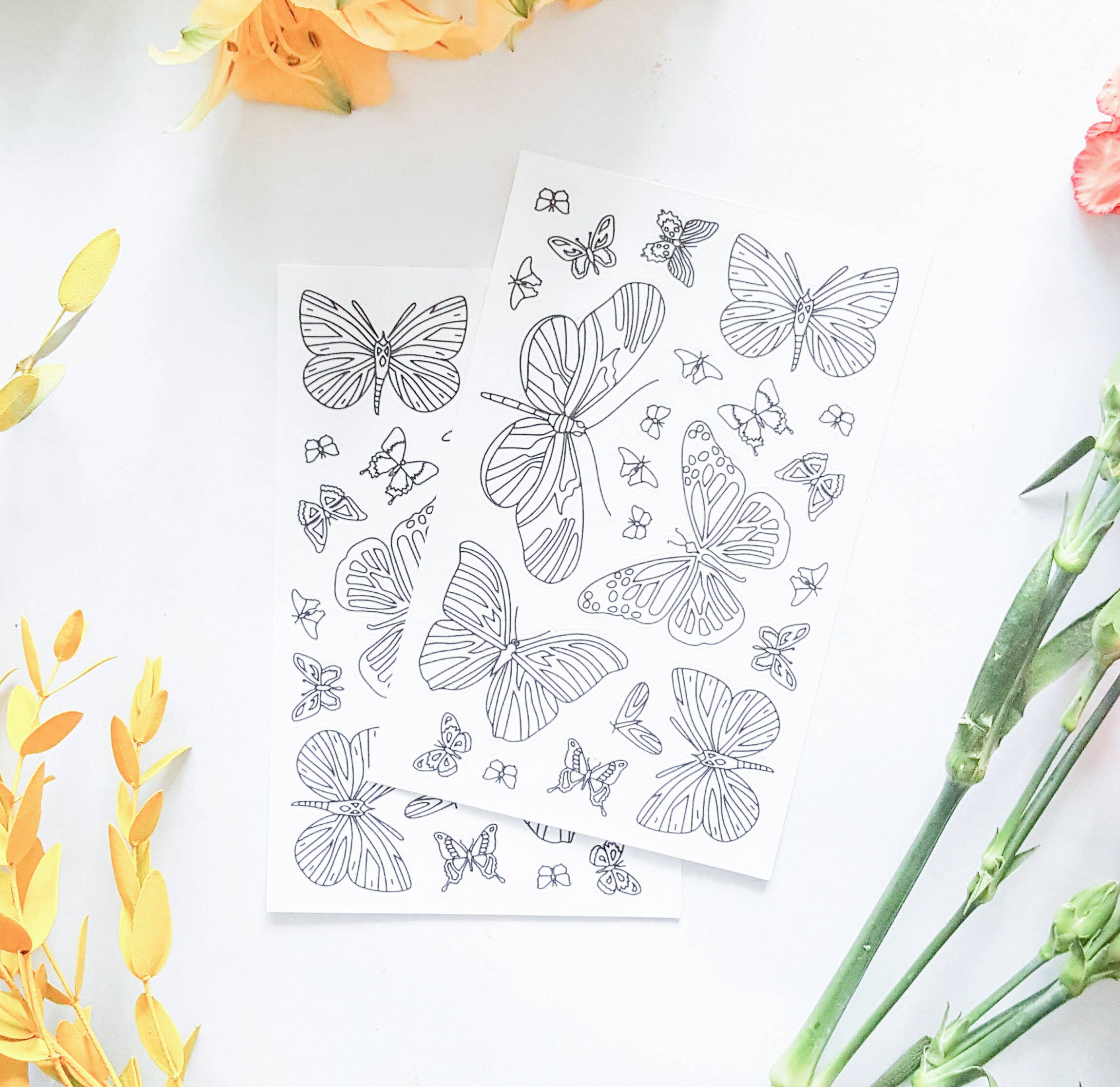 Anna Grunduls Design - Wholesale Sticker - Butterfly Coloring Stickers, 2 Sheets4