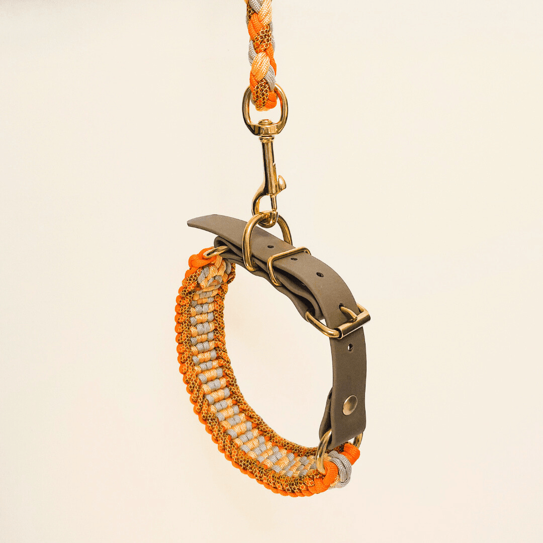 Truffe & Flair - Wholesale Pet Leash - Dog - Braided dog leash - Biothane/Paracord - Orange4